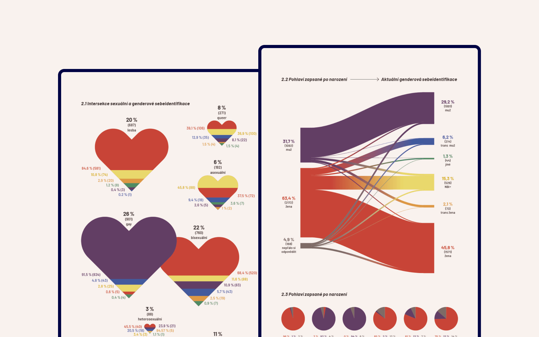 Data Visualisations showing the fluidity of gender and gender identification